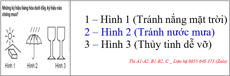 VĂN PHÒNG GHI DANH HỌC LÁI XE Ô TÔ ĐỒNG THÁP