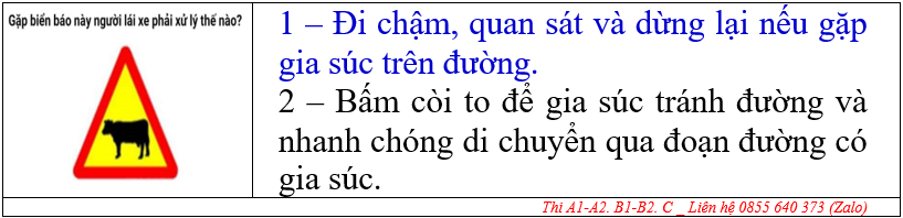 VĂN PHÒNG GHI DANH HỌC LÁI XE Ô TÔ ĐỒNG THÁP