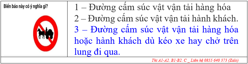 VĂN PHÒNG GHI DANH HỌC LÁI XE Ô TÔ ĐỒNG THÁP